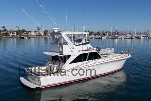 Pacemaker 100 recensioner och tekniska specifikationer